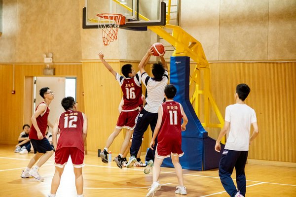 Was sind die neuesten Trends im Bereich Sport-Fahrr√§der?